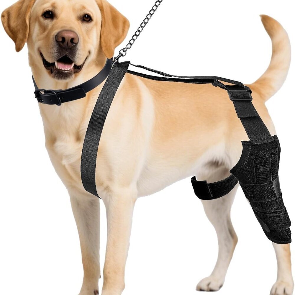 Dog Knee Brace for Back Leg